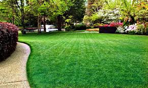 lawn care montreal